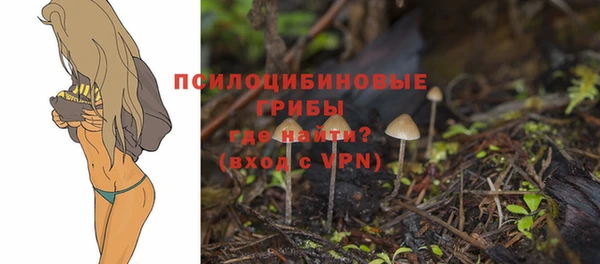 соль курить ск Алексин