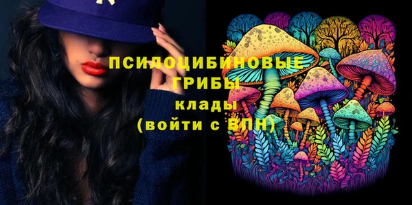 героин Алзамай