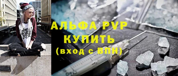 крисы Абаза