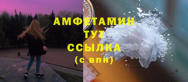 твердый Горняк
