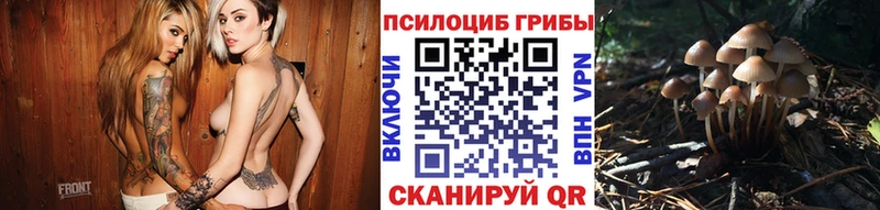 Псилоцибиновые грибы ЛСД Абдулино